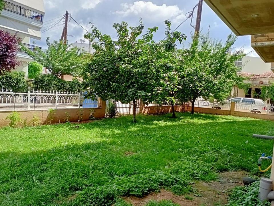 Lux Studio Apartment 알렉산드로폴리스 외부 사진
